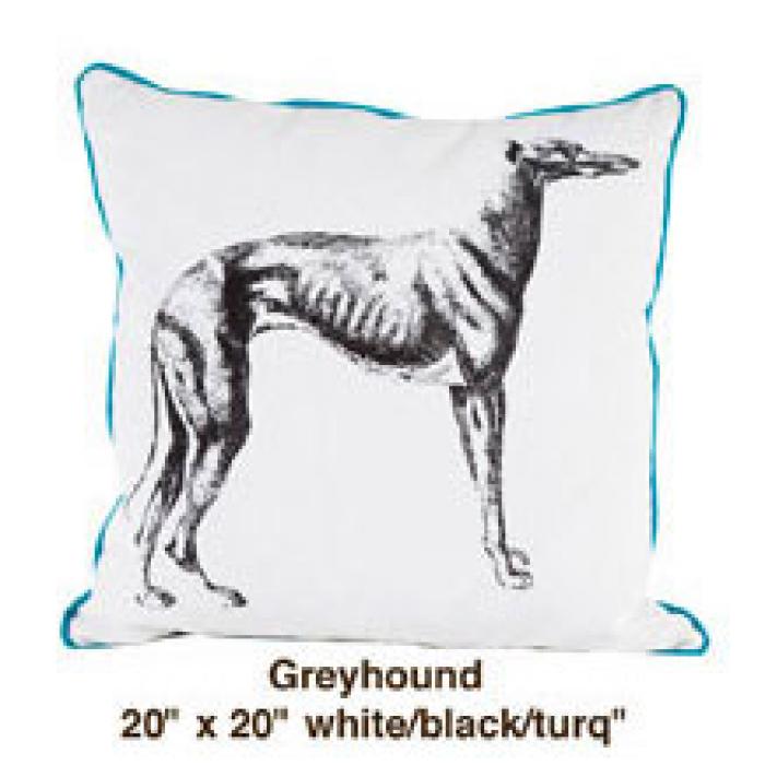 Greyhound White / Black / Turq