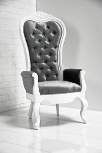 Riviera Wing Chair in Charcoal Velvet
